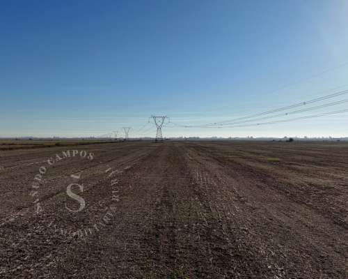 Venta Campo Agrícola. Díaz, Santa FE. 160 HA.