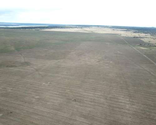 Vende Campo - 80 Ha - Fraga, San Luis