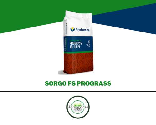 Sorgo Forrajero Prograss - Produsem