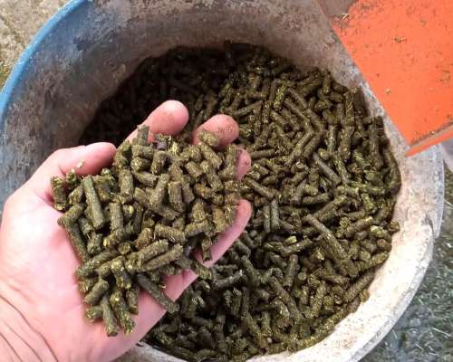 Peletizadora Mod MP300 - Pellet Alfalfa, Balanceados, ETC