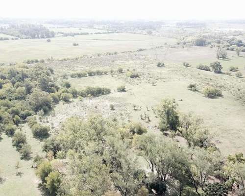 Oportunidad Chacra de 50 Hectareas en Fatima