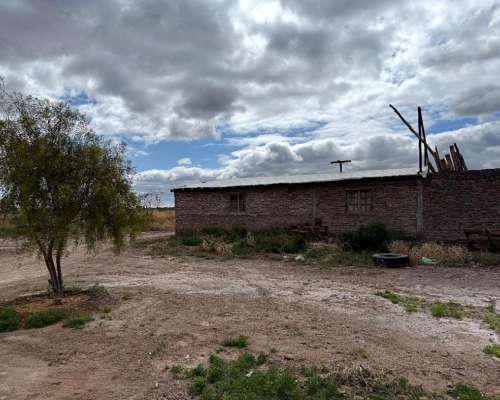 Finca en Venta 57 Hectáreas - Rpn° 24- la Pega Mendoza