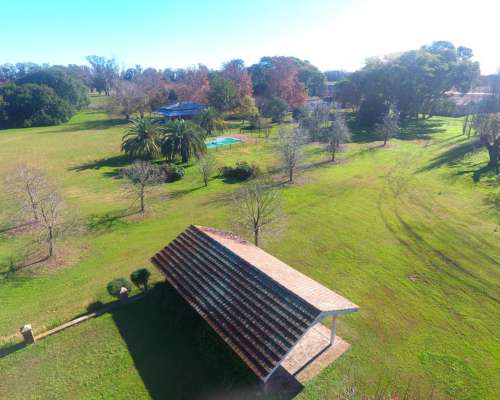 Zárate -378 HA- Buenos Aires