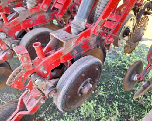 Semb Fino - Crucianelli Pionera 21 a 26