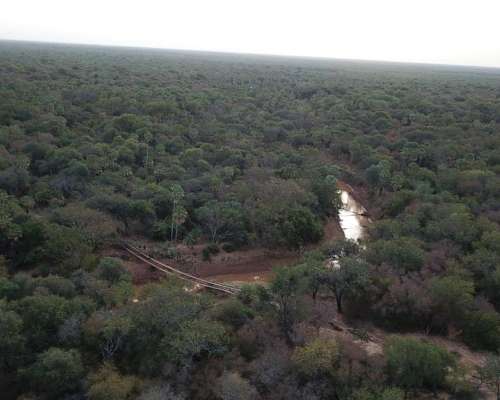 Dueño Vende 7.000has Ganaderas a 100km de las Lajitas, Salta