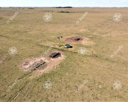 Campo en Venta de 288 Has en Magdalena