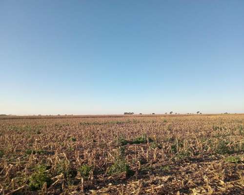 450 Ha en Venta Norte de Córdoba