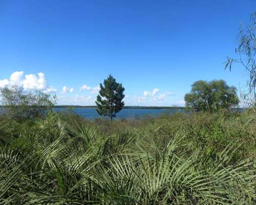 Ituzaingó - 539 Ha - Corrientes