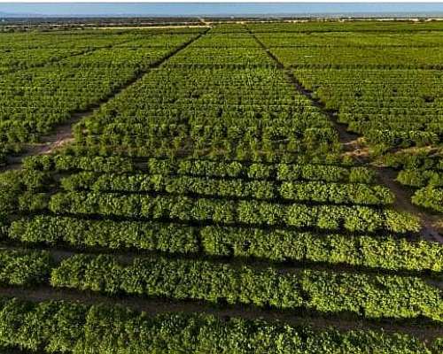 Campo en Salta 15000 Hectáreas
