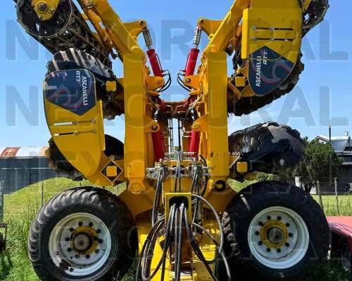 Ascanelli ATT6000 2024, de 6 Mts, 150 Has.