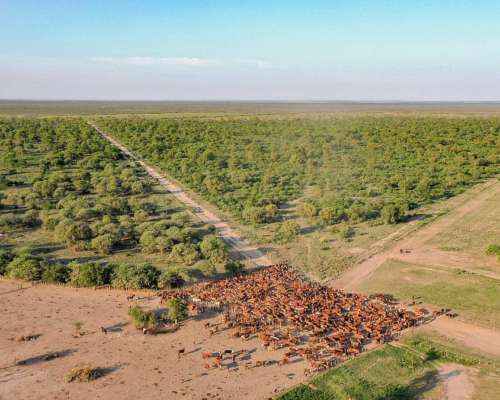Pcia. de Santiago del Estero - el Fisco de Fátima 9389 Has