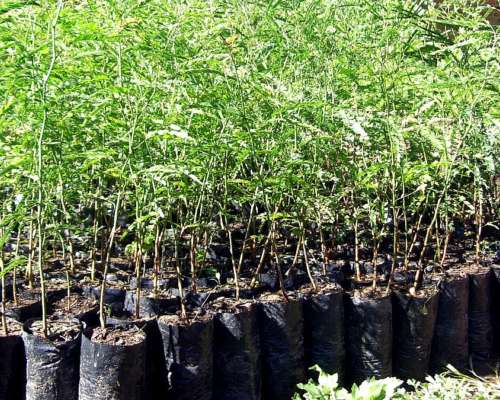 Campo en Venta de 2.124 Ha Sobre RN34