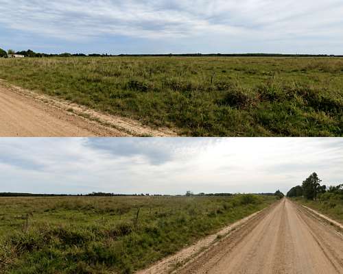 Campo en Venta Monte Caseros