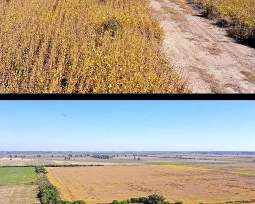 103 Ha SE Venden en Palacios Santa FE