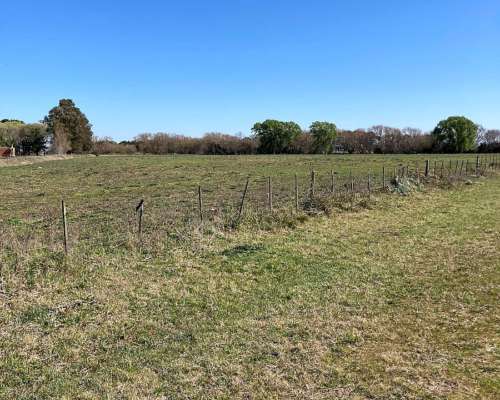 Campito de 3,2ha en Alquiler