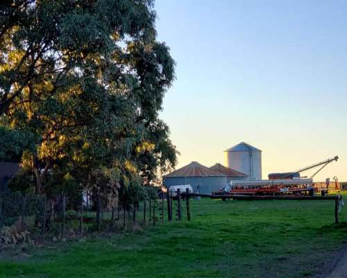 Campo en Venta en Partido de Carmen de Patagones