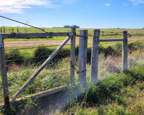 Vendo Campo en Laprida
