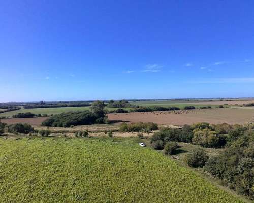 Campo Mixto 49 Hectáreas