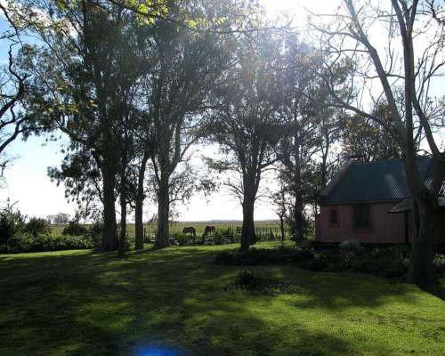 Udaquiola - 405 Ha - Buenos Aires