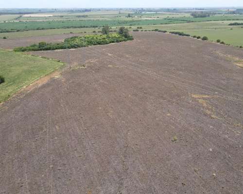 115 Hectáreas Agrícolas Sobre Ruta, Caseros Entre Ríos.
