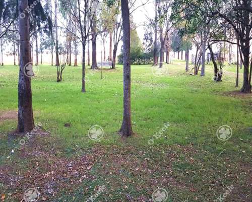 Campo 130 Has en Venta Chascomus.ideal Cria de Caballos