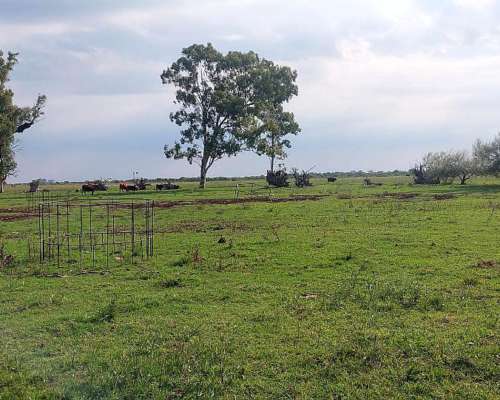 Se Venden 570 Ha Sobre Ruta 34 . a Pocos km de Rafaela