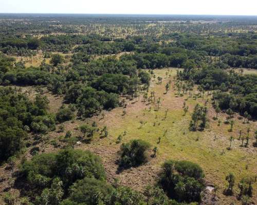 2.895 Ha en Paraguay- Magnífica para Ganadería
