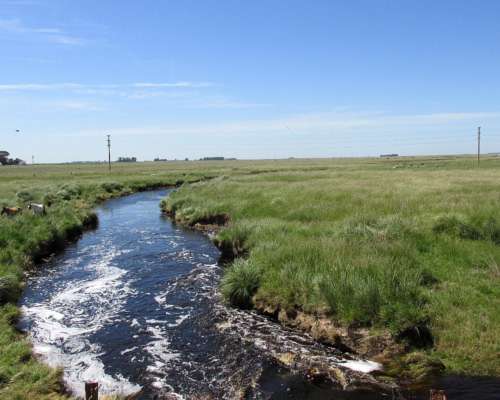 1.144 Has - en Venta - Adolfo Gonzales Chaves - Buenos Aires