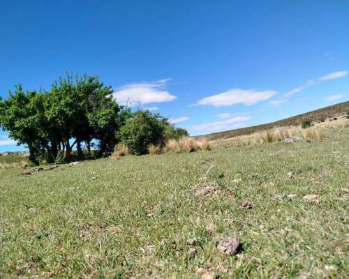 Cerros Largos ( la Carolina ) 154 Has