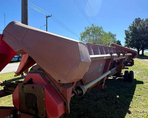 Maicero de Grande de 10 a 70 cm