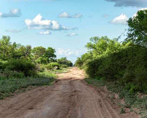 Excelente Campo en Dpto. Copo, SGO del Estero.-