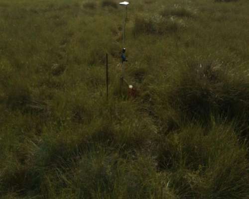 1200 Has Ganaderas a Desarrollar en Nueva Italia