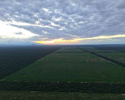 Pcia. de Salta - la Estrella 2125 Ha