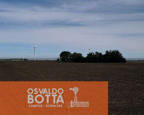 Campo Mixto en Venta 103 Has en Miramar, Buenos Aires