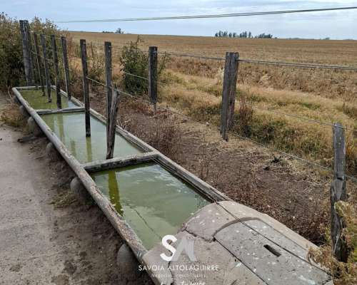 Vende: Campo de 298 Hectáreas. Ubicadas a 3 km al Suroeste D