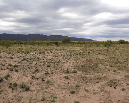 Vendo Parcelas de 4 Has. Cerca de San Fco. del Monte de ORO