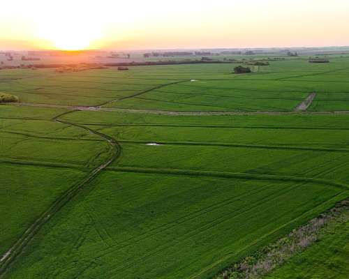 340 Ha Agricolas Capitan Sarmiento