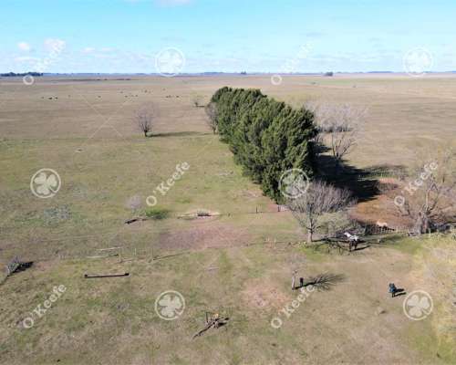 Campo en Venta de 288 Has en Magdalena