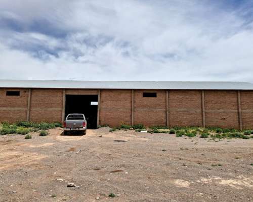 Malargue, Mendonza - 200 Ha