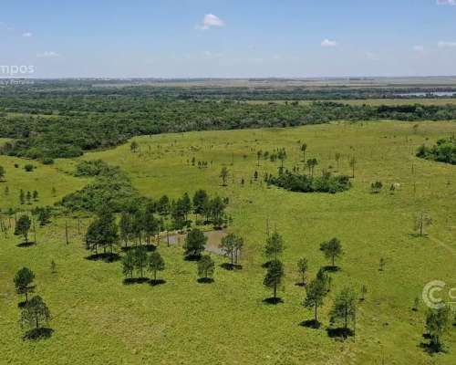 Se Vende Campo de 860 Ha Santo Tomé Corrientes.