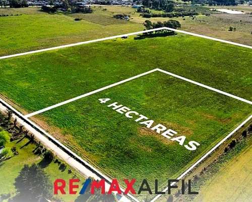 Campo en Venta Bavio 4 Hectáreas