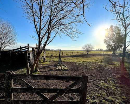 Campo en Venta en Marcos PAZ 48ha