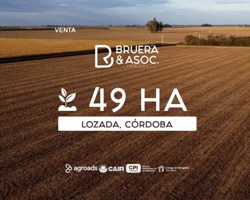 Campo 49 Hectáreas - Lozada