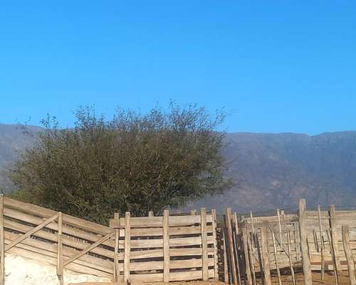Campo Agricola Ganadero Ferlot en Catamarca