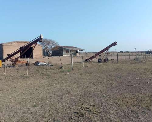 Venta Campo a Tranquera Cerrada (con 900 Vientres Bradford)