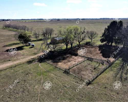 Campo en Venta de 288 Has en Magdalena
