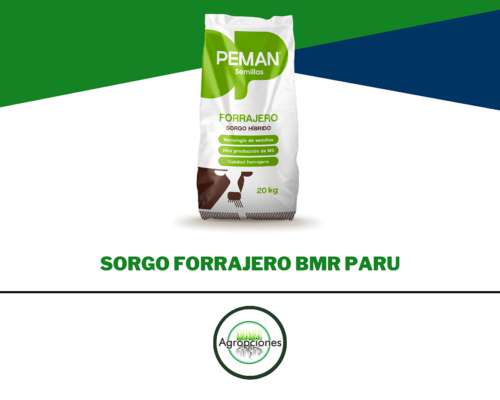 Semilla de Sorgo Forrajero BMR Paru