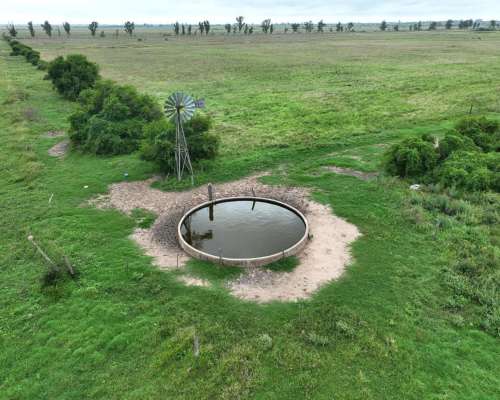 Santa Clara de Buena Vista, las Colonias, Santa FE - 179 Ha
