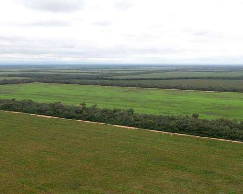 Pcia. de Salta - las Maravillas 2889 Has