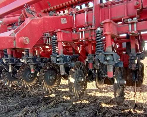 Semb Grueso - Crucianelli Gringa 20 a 42 - Mecánica - 2012